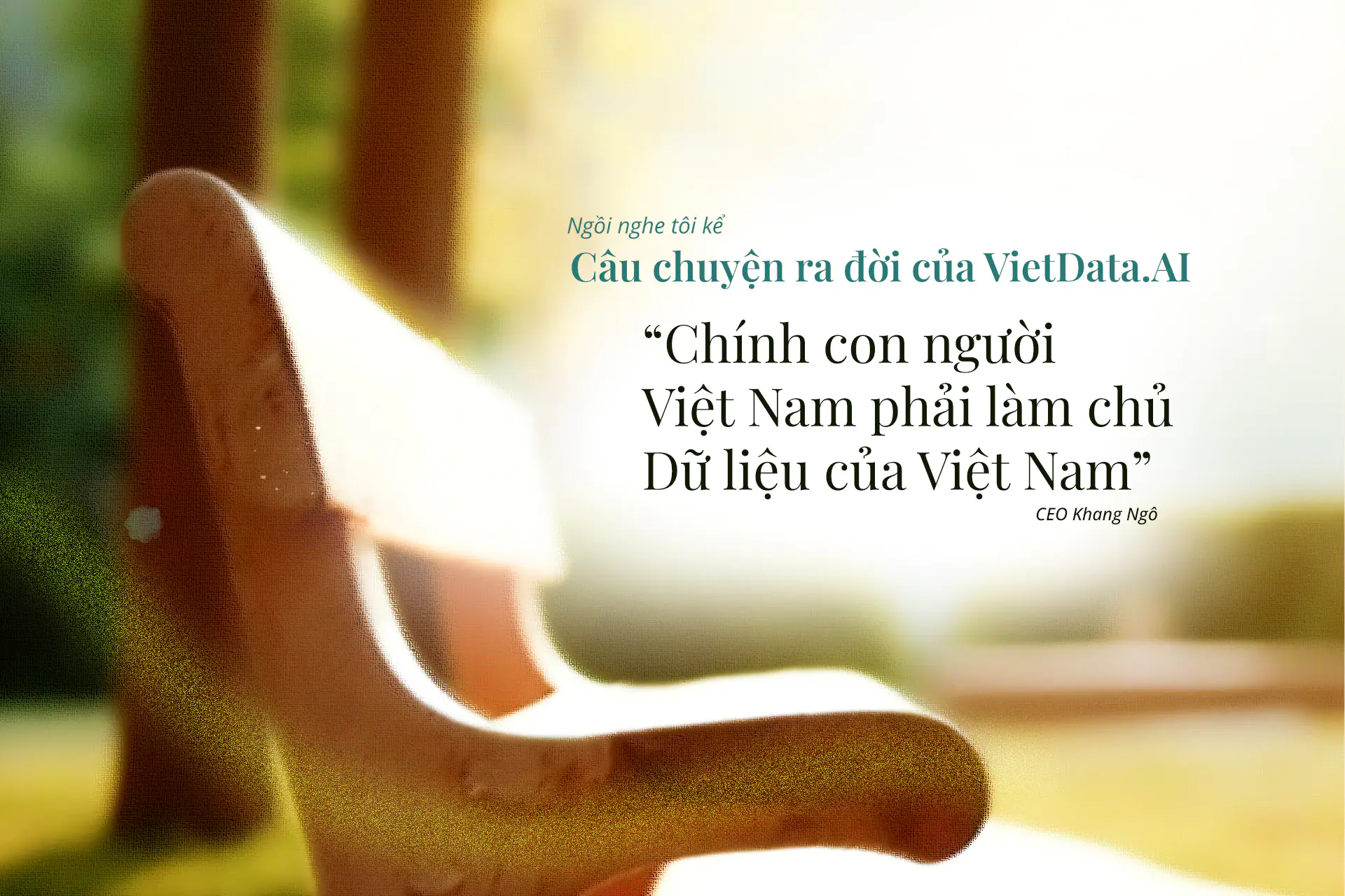 VietData AI